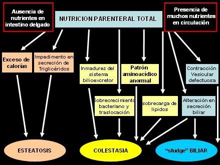 Daño hepático y alimentación parenteral