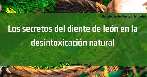 Desintoxicación Natural