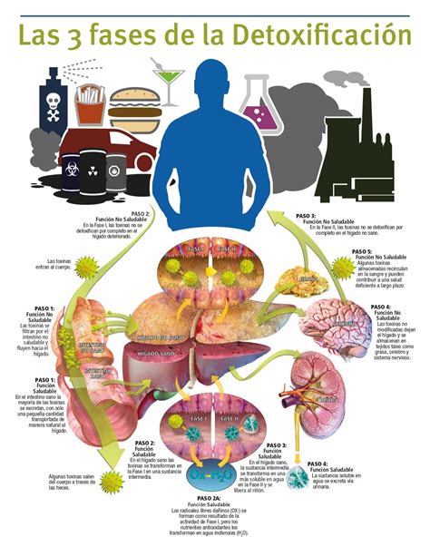 Detoxificación