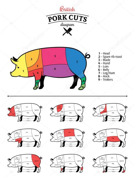 Diagrama de corte de cerdo