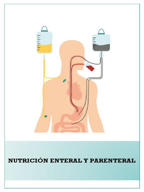 Diagrama de flujo para la nutrición parenteral