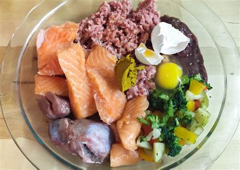 Dieta BARF para perros