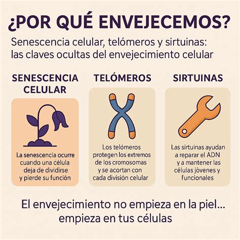 Dieta Cetogénica y Senescencia Celular