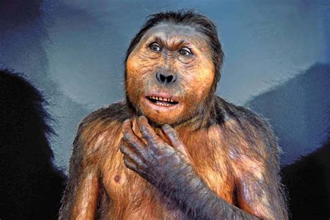 Dieta Paranthropus Boisei