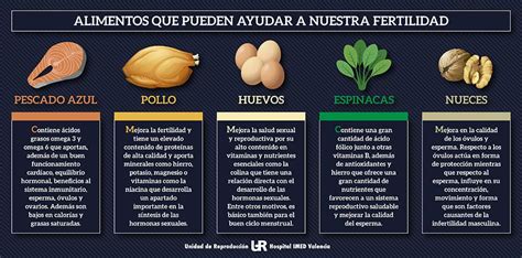 Dieta equilibrada para la fertilidad