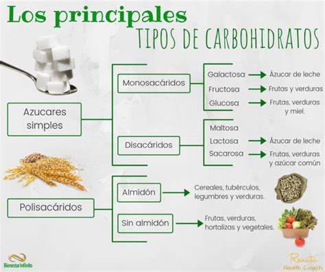 Diferentes tipos de carbohidratos