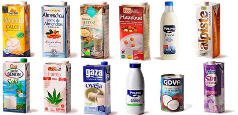 Diferentes tipos de leche