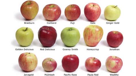 Diferentes tipos de manzanas