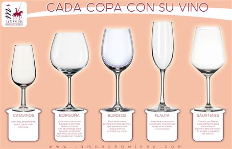 Diferentes tipos de vino en copas