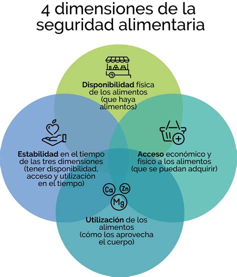 Dimensiones de la seguridad alimentaria