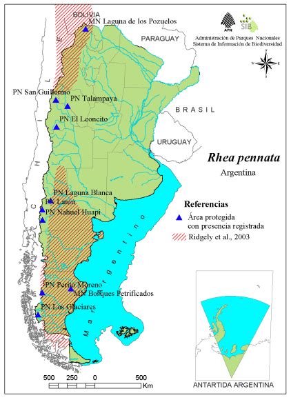 Distribución del Ñandú en Chile