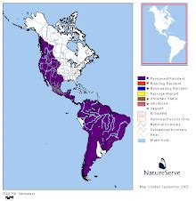 Distribución del Puma Concolor