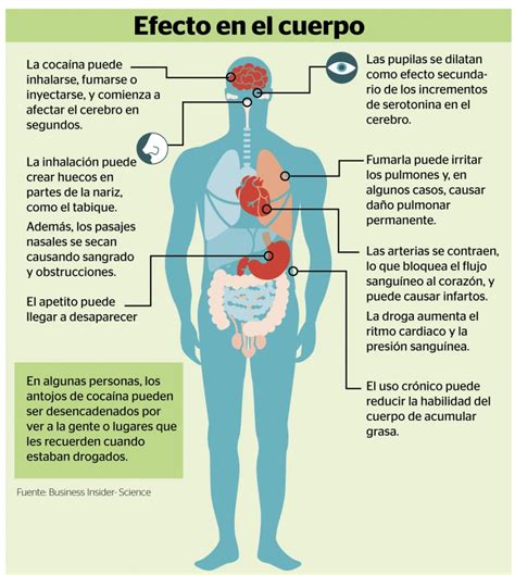 Efectos de la cocaína en el cuerpo humano