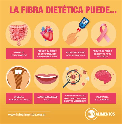 Efectos de la fibra en la salud