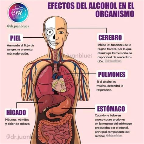 Efectos del alcohol en el cuerpo