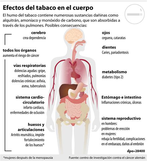 Efectos del tabaco en el cuerpo
