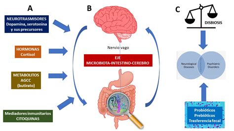 Eje Microbiota Intestino Cerebro