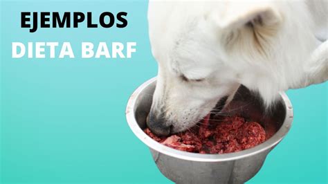 Ejemplo de dieta BARF