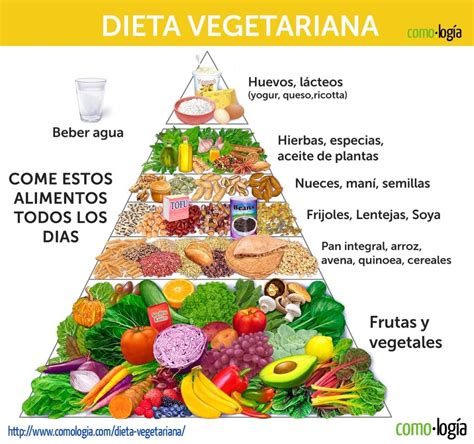 Ejemplo de dieta vegetariana