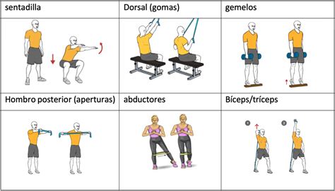 Ejercicios de fuerza para personas mayores