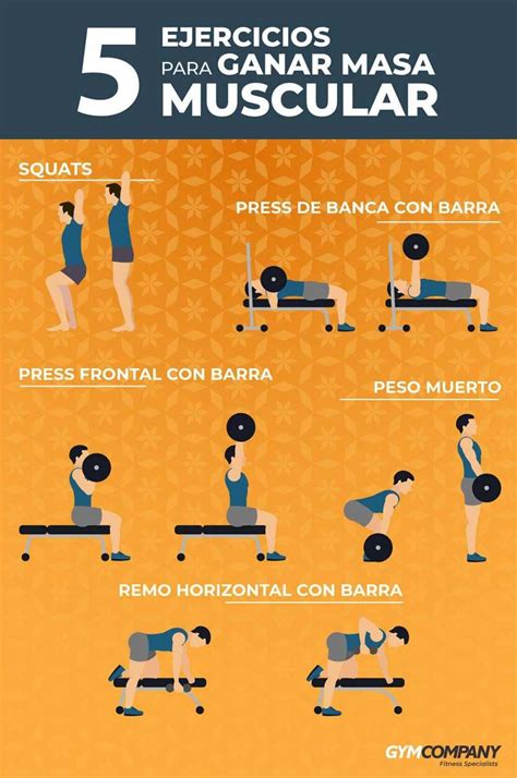 Ejercicios para ganar masa muscular