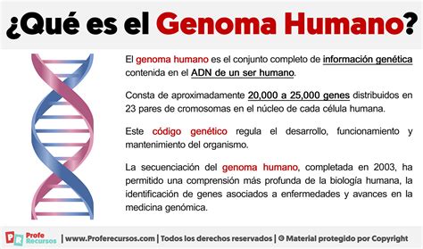 El genoma humano