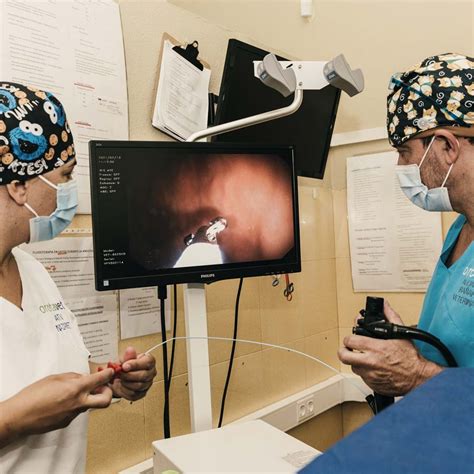 Endoscopía Diagnóstico