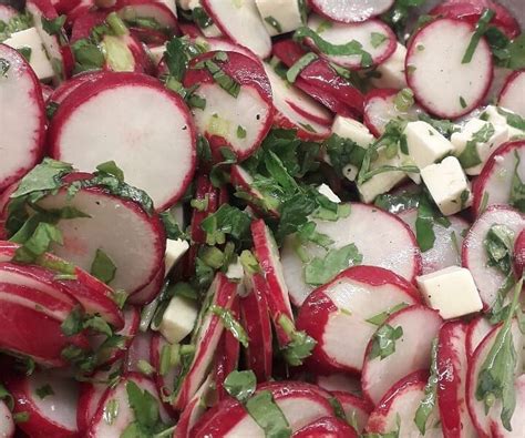 Ensalada de rábano