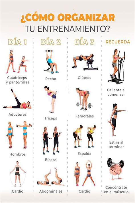 Entrenamiento con pesas para mujeres