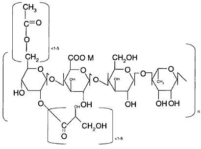 Estructura Molecular de la Goma Gellan