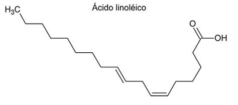 Estructura del Ácido Linoleico