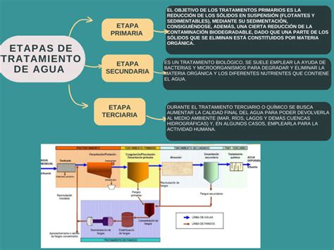 Etapas del tratamiento