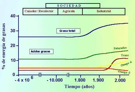 Evolución del consumo de grasas y aceites durante el desarrollo del hombre