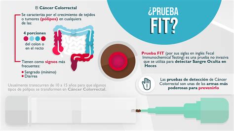 Examen FIT