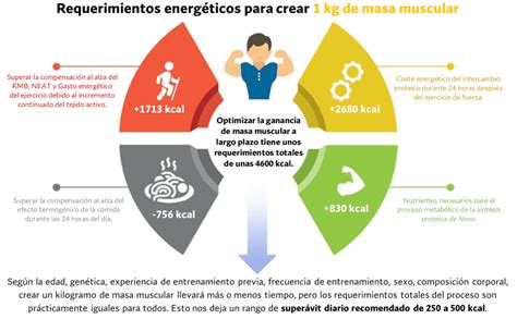 Excedente Calórico