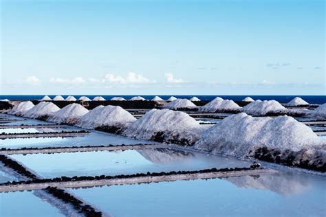Extracción de sal en las salinas de Guérande