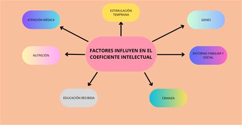 Factores que influyen en el colon irritable