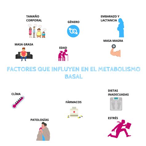 Factores que influyen en el metabolismo basal