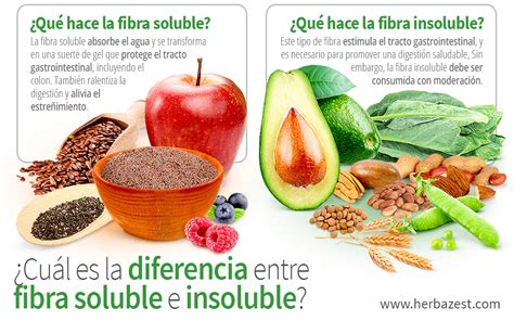 Fibra Soluble vs Insoluble