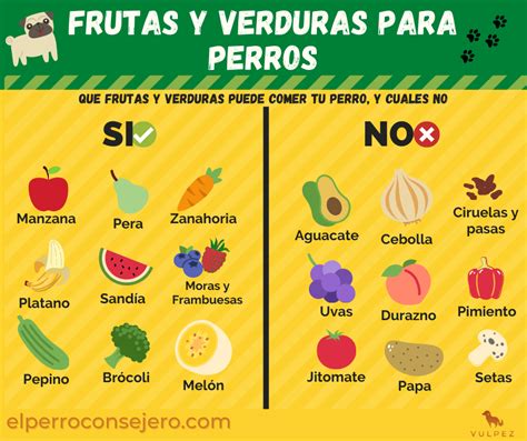 Frutas y verduras para perros