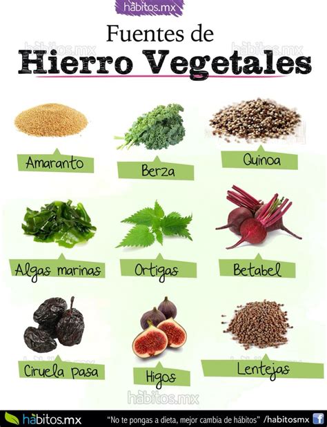 Fuentes de Hierro Vegetal
