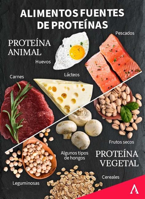 Fuentes de Proteínas Animales y Vegetales