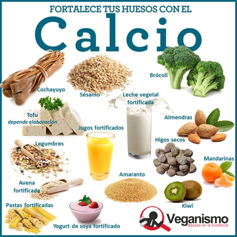 Fuentes de calcio veganas