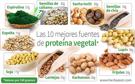 Fuentes de proteínas vegetarianas
