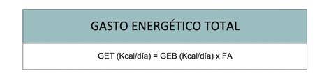 Gasto Energético Total
