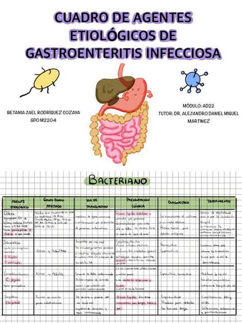 Gastroenteritis infecciosa