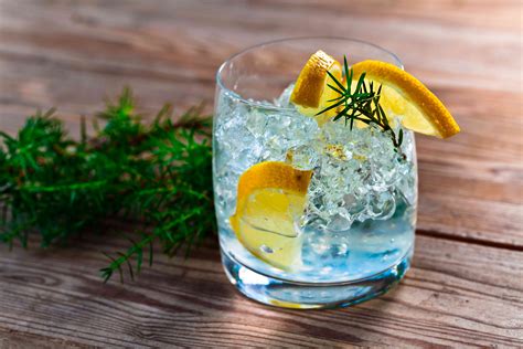 Gin Tonic