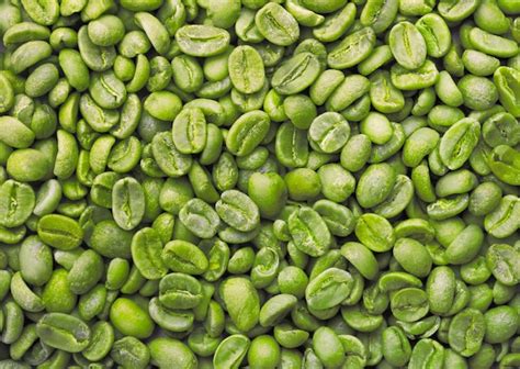 Granos de café verde
