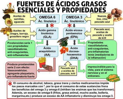 Grasas omega-3
