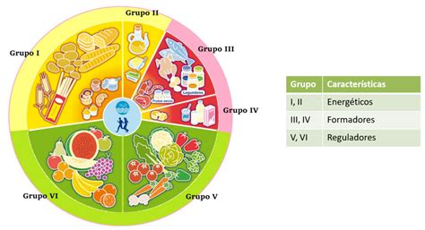 Grupos de alimentos
